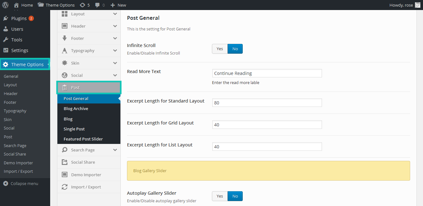 Options – Docs – Awards Blog Theme
