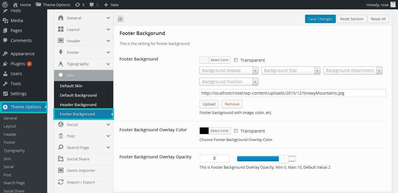 Options – Docs – Awards Blog Theme